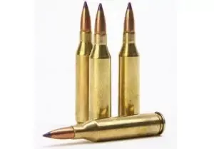 Rifle Shell Embeds 7 Cavity Silicone Mold 1196
