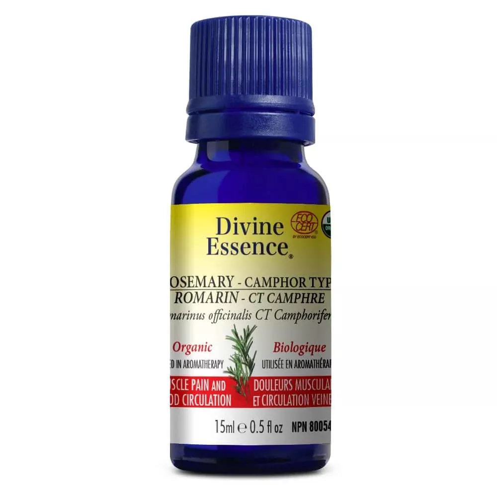 Rosemary – Camphor Type (Organic)