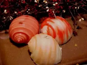 Sea Shell Candle 1 Cavity Silicone Mold 1213