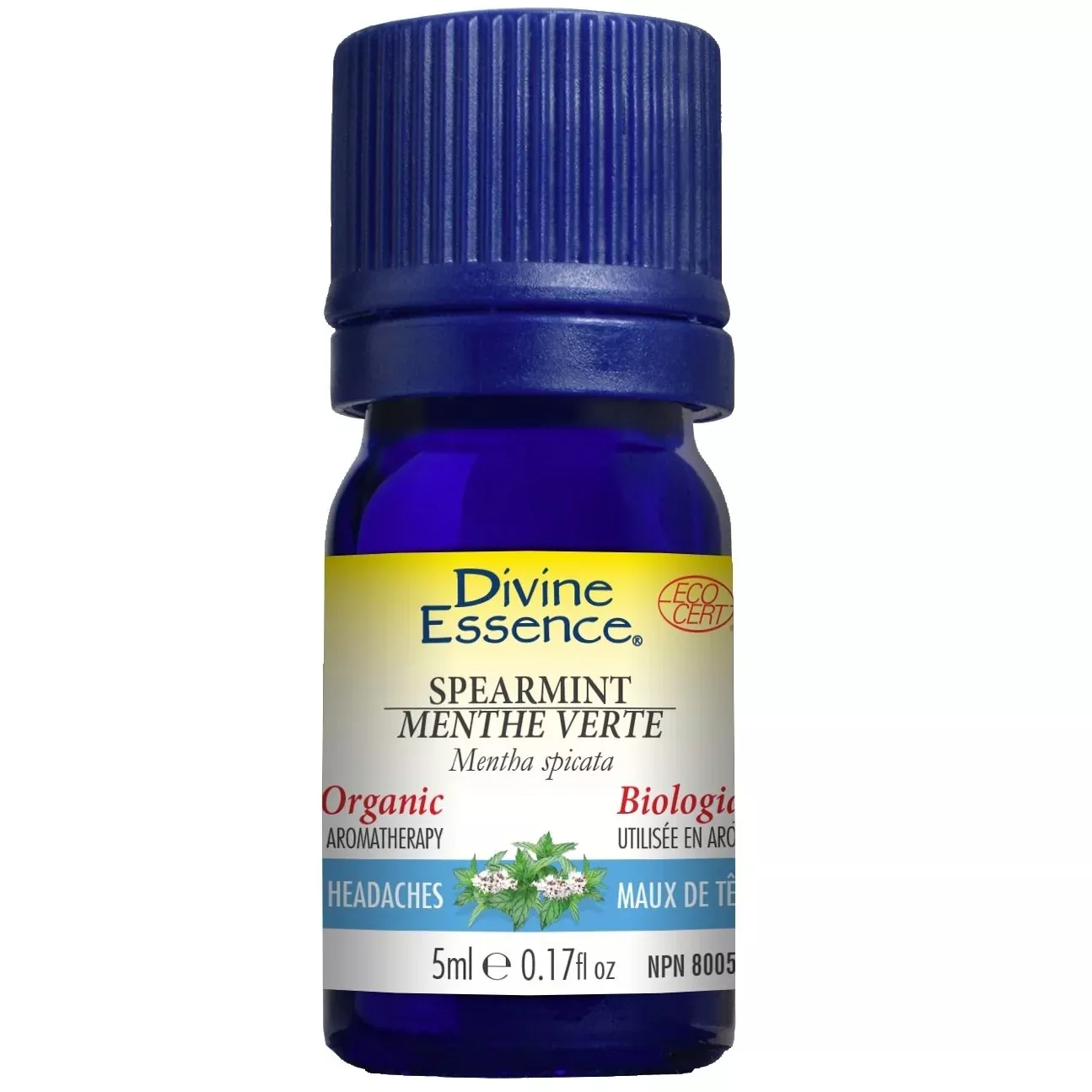 Spearmint Extract (Organic)