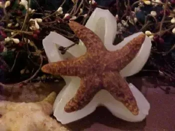 Starfish Small 1 Cavity Silicone Mold 2083