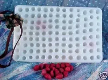 Strawberry Mini Embeds 103 Cavity Silicone Mold 2242