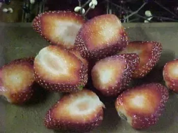 Strawberry Slices Embeds 10 Cavity Silicone Mold 5073