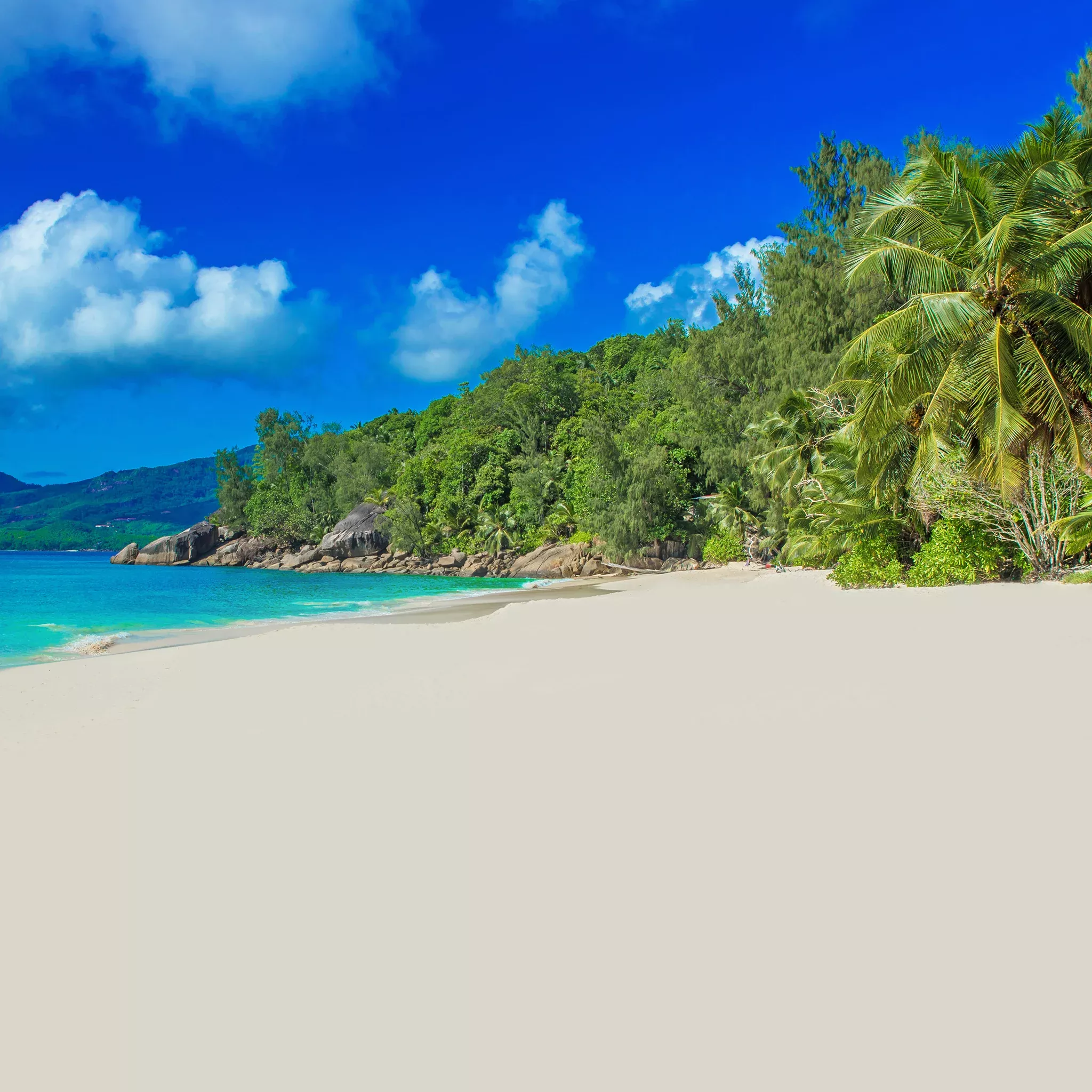 Sugar Sand Beach Fragrance Oil