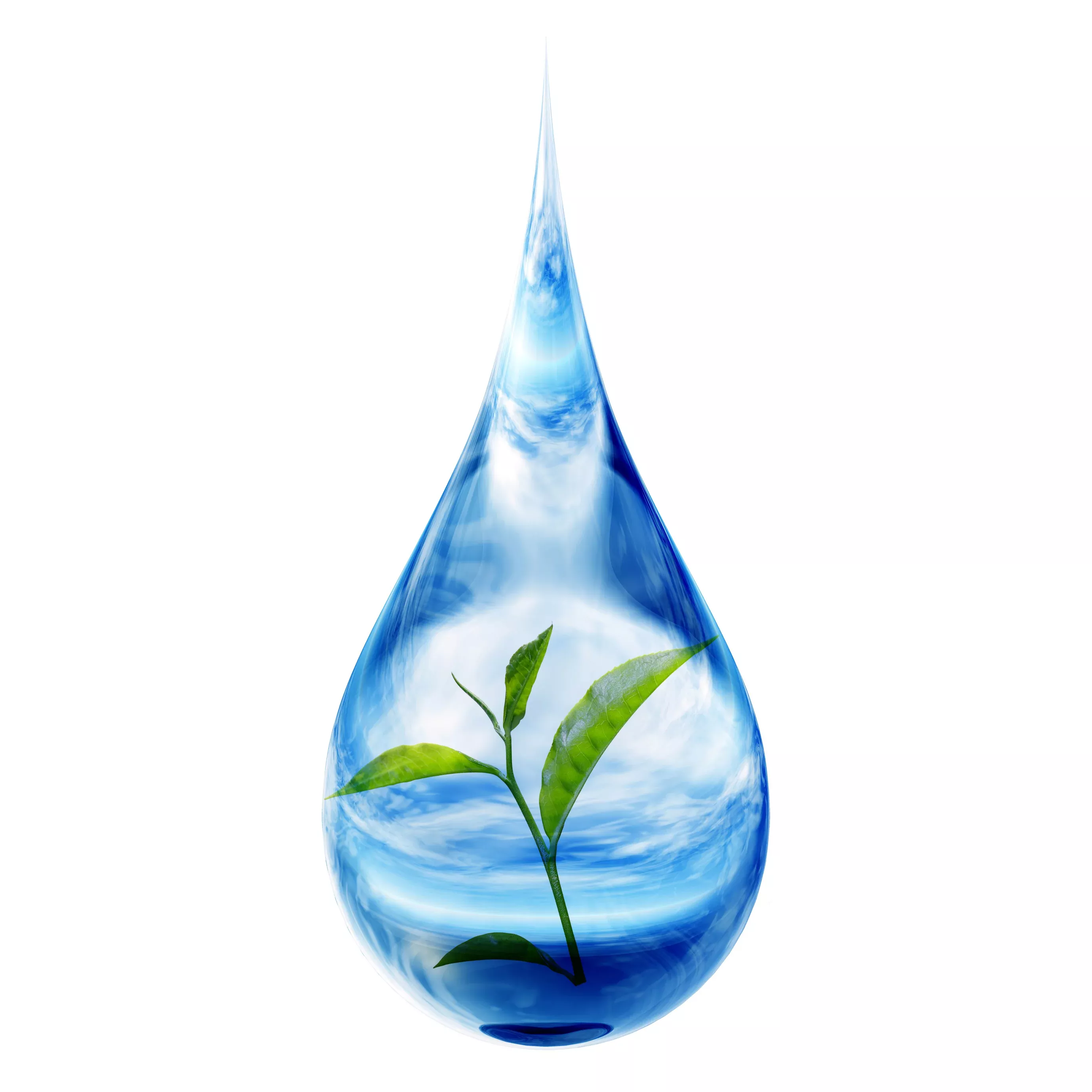 Tea Tree Floral Water