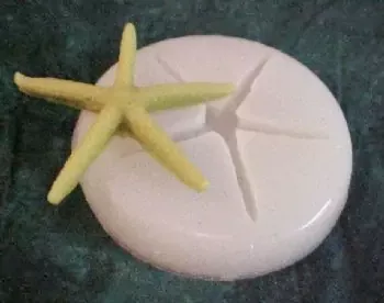 Thin Starfish Embed 1 Cavity Silicone Mold 2132