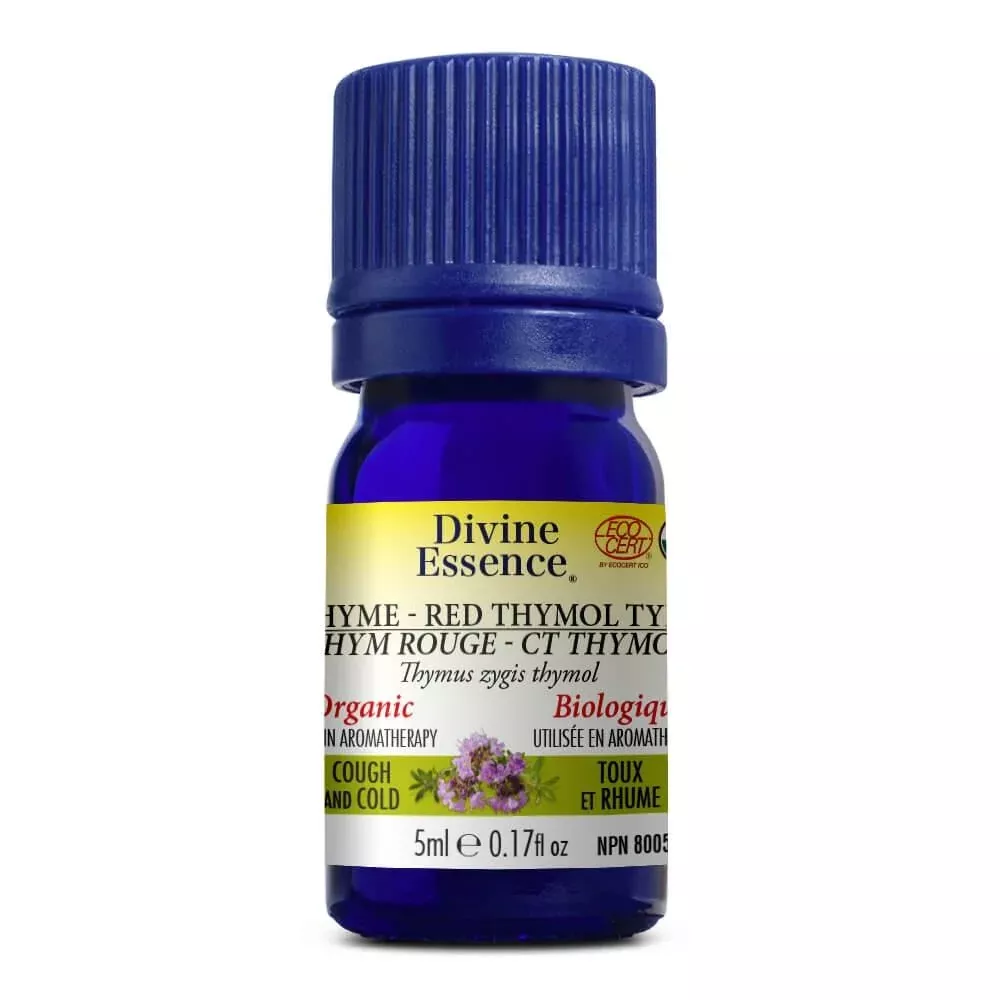 Thyme Red - Thymol (Organic)