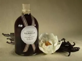 Vanilla Natural Lotion