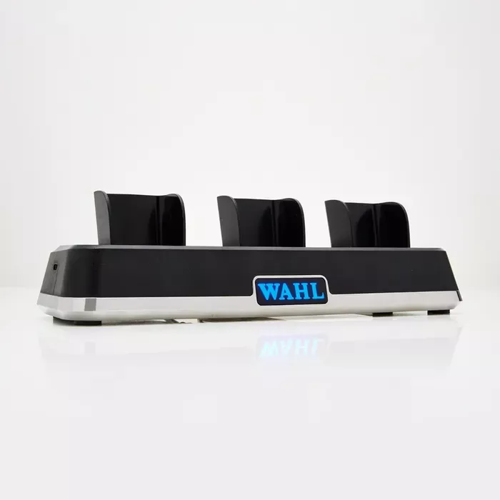 Wahl Power Station #3023291