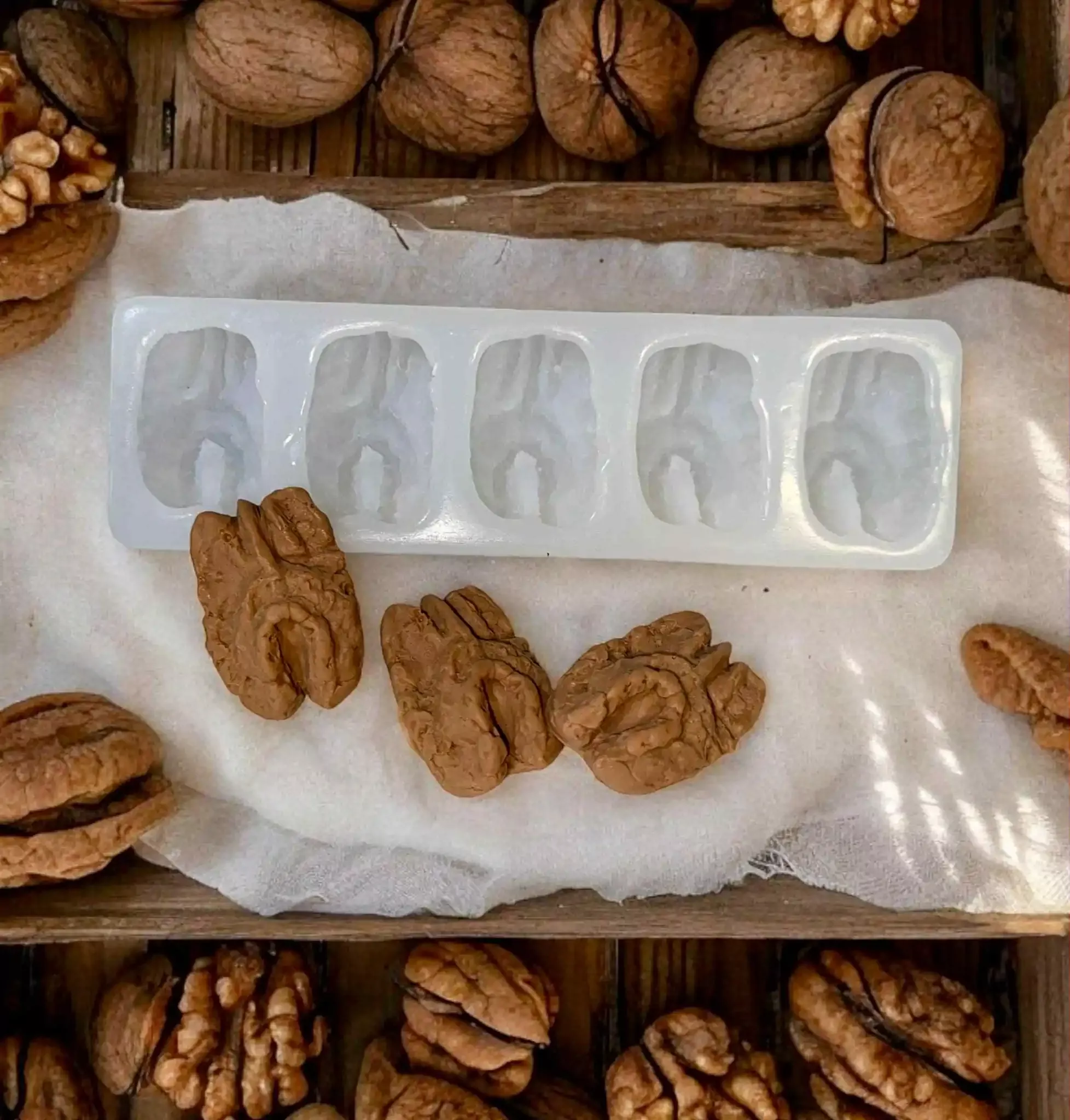 Walnut Half Silicone Mold Tart 5 Cavity 530