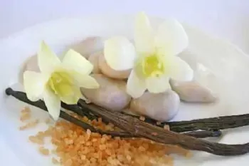 Warm Vanilla Sugar Natural Lotion