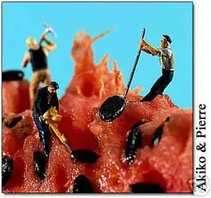 Watermelon Seed Embeds 40 Cavity Silicone Mold 761