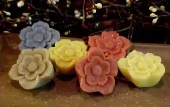 Wild Blossom Tarts 6 Cavity Silicone Mold 207