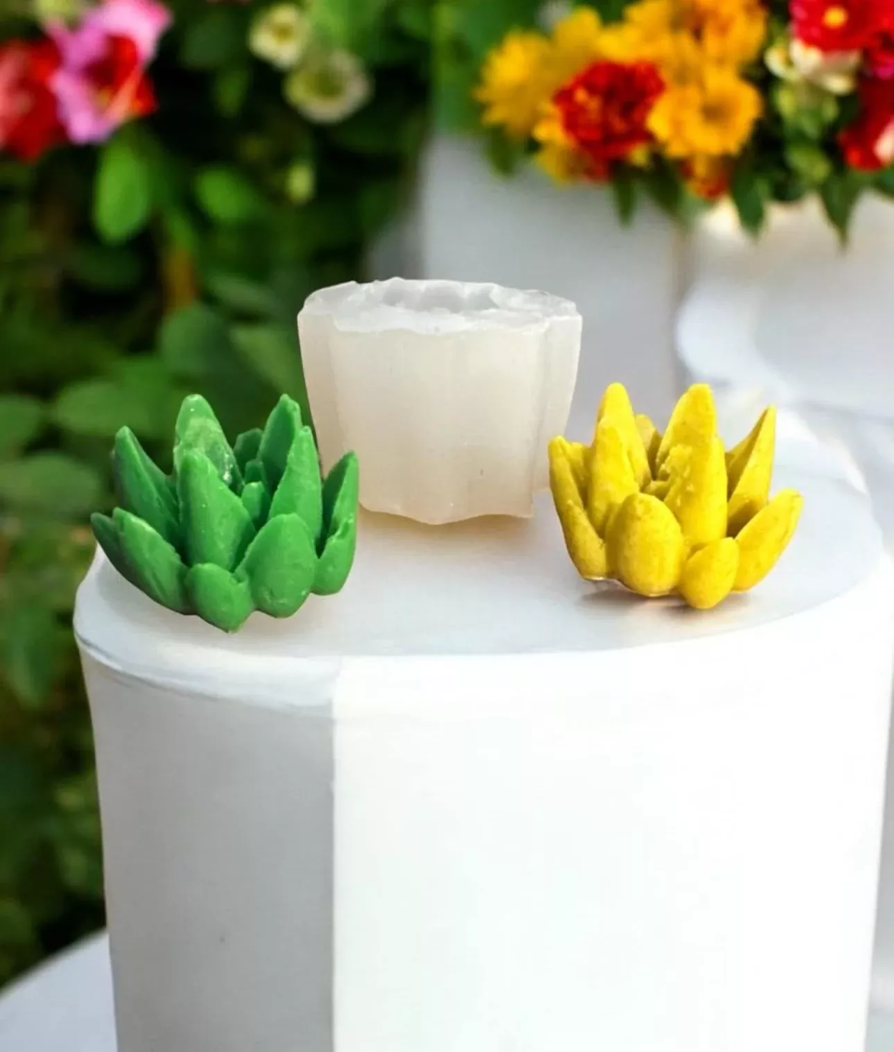 Zebra succulent small soap 1 cavity silicone mold 4098